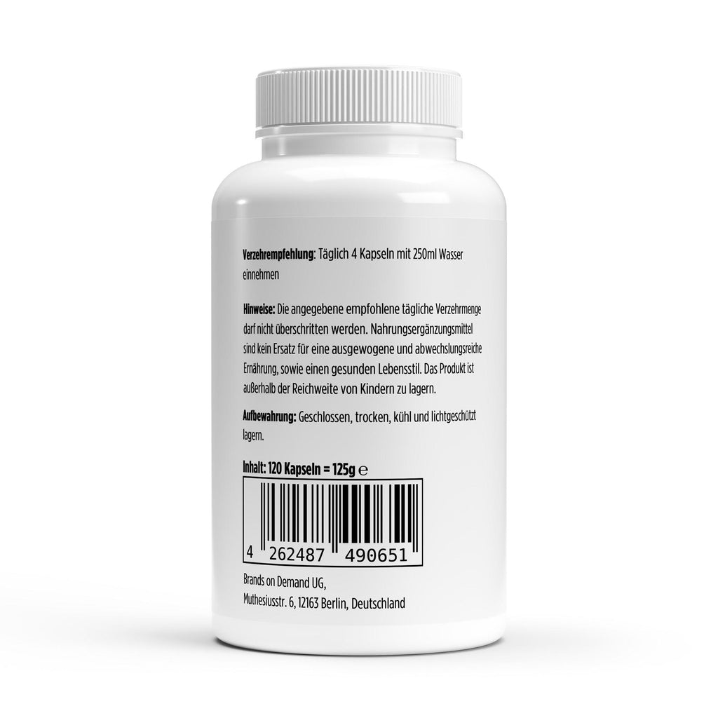 Bicarbonate de sodium gastro-résistant | 120 gélules, étiquette et conseils d’utilisation